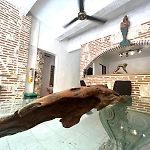 Pachamama Hostel Cartagena