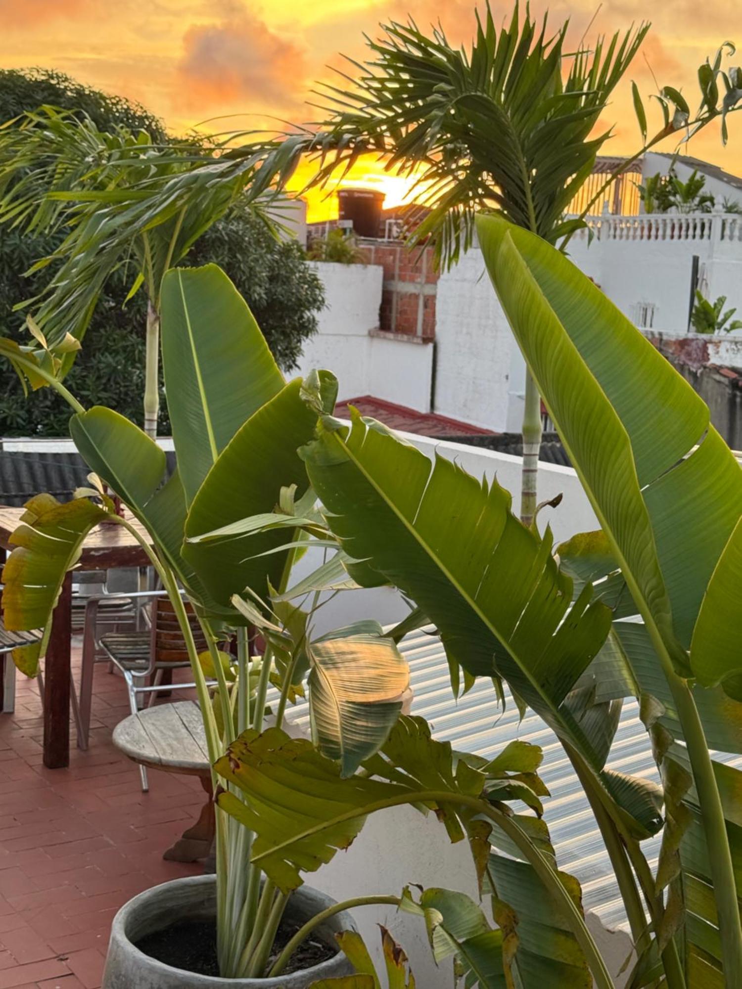 Pachamama Hostel *